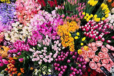 《最后的生还者》PC MOD 成功变成FPS游戏